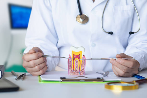 Best Emergency Root Canal Therapy in Ester, AK